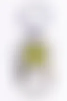 WebcamCoversNow.com