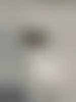 WebcamCoversNow.com