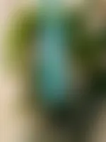 WebcamCoversNow.com
