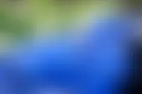 WebcamCoversNow.com - Double Face Satin Ribbon