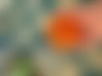 WebcamCoversNow.com