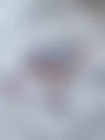 WebcamCoversNow.com - Zipper Frosted Bags