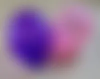 WebcamCoversNow.com