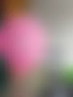 WebcamCoversNow.com