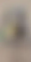 WebcamCoversNow.com - Roll Labels