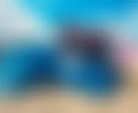 WebcamCoversNow.com - Rectangle Flag