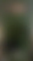 WebcamCoversNow.com