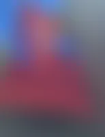 WebcamCoversNow.com - Rectangle Flag