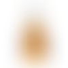 Custom Shape