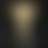 Resin Trophies - Webcam Covers Now