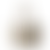 Natural - Webcam Covers Now
