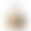 Camel - Webcam Covers Now