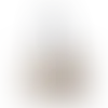 Sky Captain - Webcam Covers Now