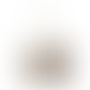 Natural - Webcam Covers Now