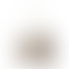 Cannoli Cream - Webcam Covers Now