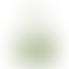 Cannoli Cream - Webcam Covers Now