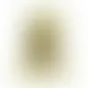 Cannoli Cream - Webcam Covers Now