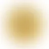 Gold - Webcam Covers Now