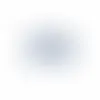 Clear (Standard Cap) - Webcam Covers Now