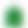 Kelly Green - Webcam Covers Now