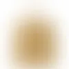 Yellowish Brown - Webcam Covers Now