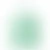 Light Mint Green - Webcam Covers Now