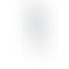 Concave Flag - Webcam Covers Now