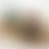 Roll Labels - Webcam Covers Now