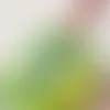 Clear Stickers - Webcam Covers Now