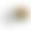 Small Top View Tin-Jelly Belly® - Webcam Covers Now