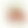 Calling Card - Jelly Beans - Webcam Covers Now