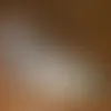 Calling Card - Stash Tea Assortment - Webcam Covers Now