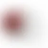 Round Tin with Red Hots - SBF3000 - Webcam Covers Now