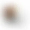 Round Tin with Gumballs - SBF3100 - Webcam Covers Now