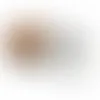 Round Tin with Honey Roasted Peanuts - SBF2900 - Webcam Covers Now