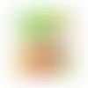 Square Acetates - Assorted Fish - Webcam Covers Now