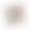 Square Acetates - Raisin Nut Trail Mix - Webcam Covers Now