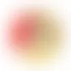 Small Shareable Acetate with Dried Fruits - Webcam Covers Now
