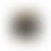Round Acetates - Honey Roasted Peanuts - Webcam Covers Now
