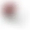 Round Tin with Red Hots - SBF3100 - Webcam Covers Now