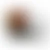 Round Tin with Jelly Bellies - SBF3100 - Webcam Covers Now