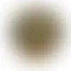 Small Shareable Acetate with Trail Mix - Webcam Covers Now