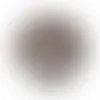 Small Shareable Acetate with Chocolates - Webcam Covers Now