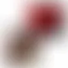 4 Delight Gift Box - Holiday Confections - Webcam Covers Now