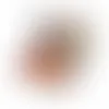 Domed Tin-Jelly Belly® - Webcam Covers Now