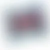 2oz. Full Color DigiBag™ with Cherry Bites - Webcam Covers Now