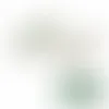 Peppermint Soft Pastel Mints - Webcam Covers Now