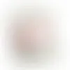 1/2oz. Snack Packs - Cherry Bites - Webcam Covers Now