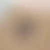 Kraft Paper Stickers - Webcam Covers Now