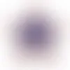 Rounded Star Badge - Webcam Covers Now